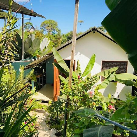 Casita Tangara Con Balcon Y Agua Caliente Apartment Drake Bay Ngoại thất bức ảnh