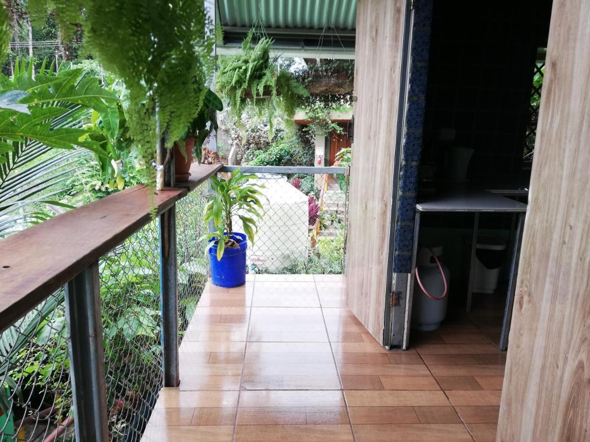 Casita Tangara Con Balcon Y Agua Caliente Apartment Drake Bay Phòng bức ảnh