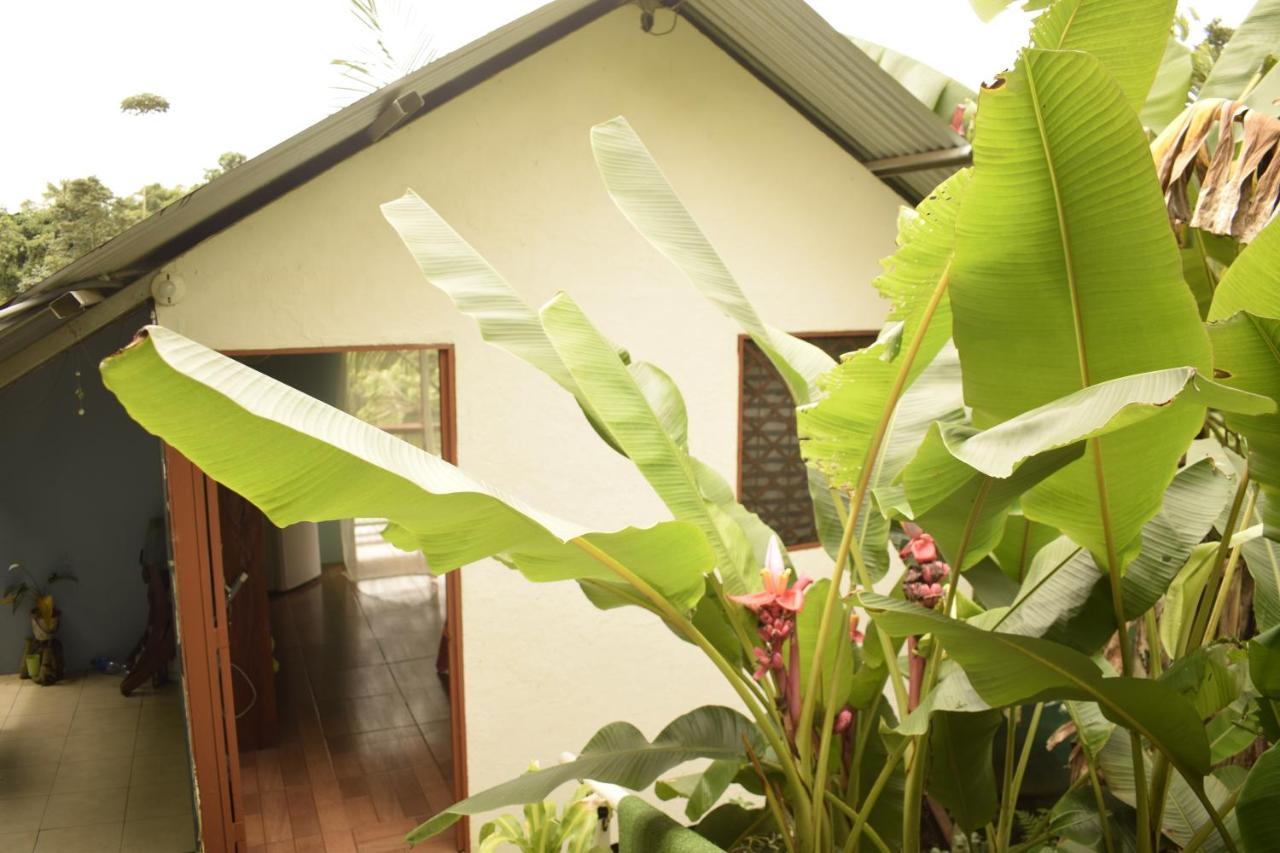 Casita Tangara Con Balcon Y Agua Caliente Apartment Drake Bay Ngoại thất bức ảnh
