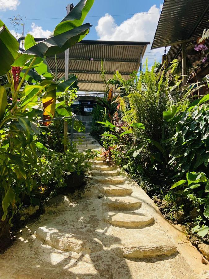 Casita Tangara Con Balcon Y Agua Caliente Apartment Drake Bay Ngoại thất bức ảnh