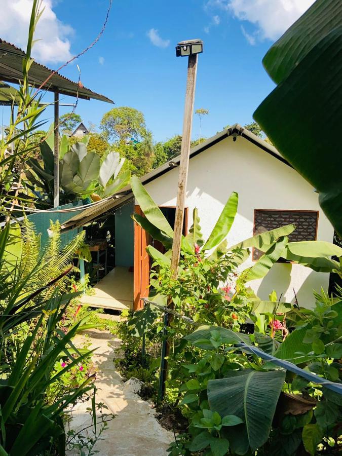 Casita Tangara Con Balcon Y Agua Caliente Apartment Drake Bay Ngoại thất bức ảnh